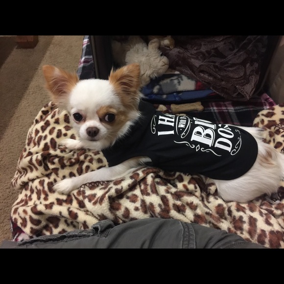 Meet your Posher, Rita - Picture 7 of 8